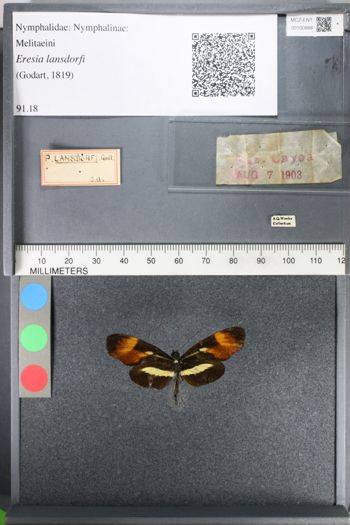Media type: image;   Entomology 100888